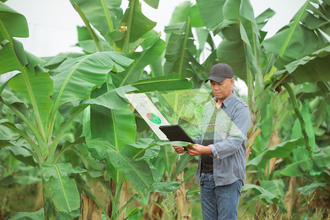 Purple Art Station Graphics Designer for SF Group of Companies