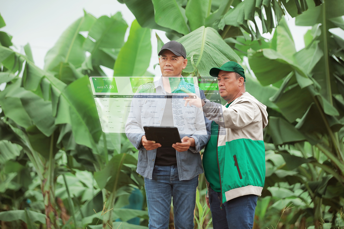 Purple Art Station Graphics Designer for SF Group of Companies