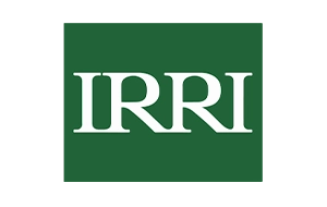 irri